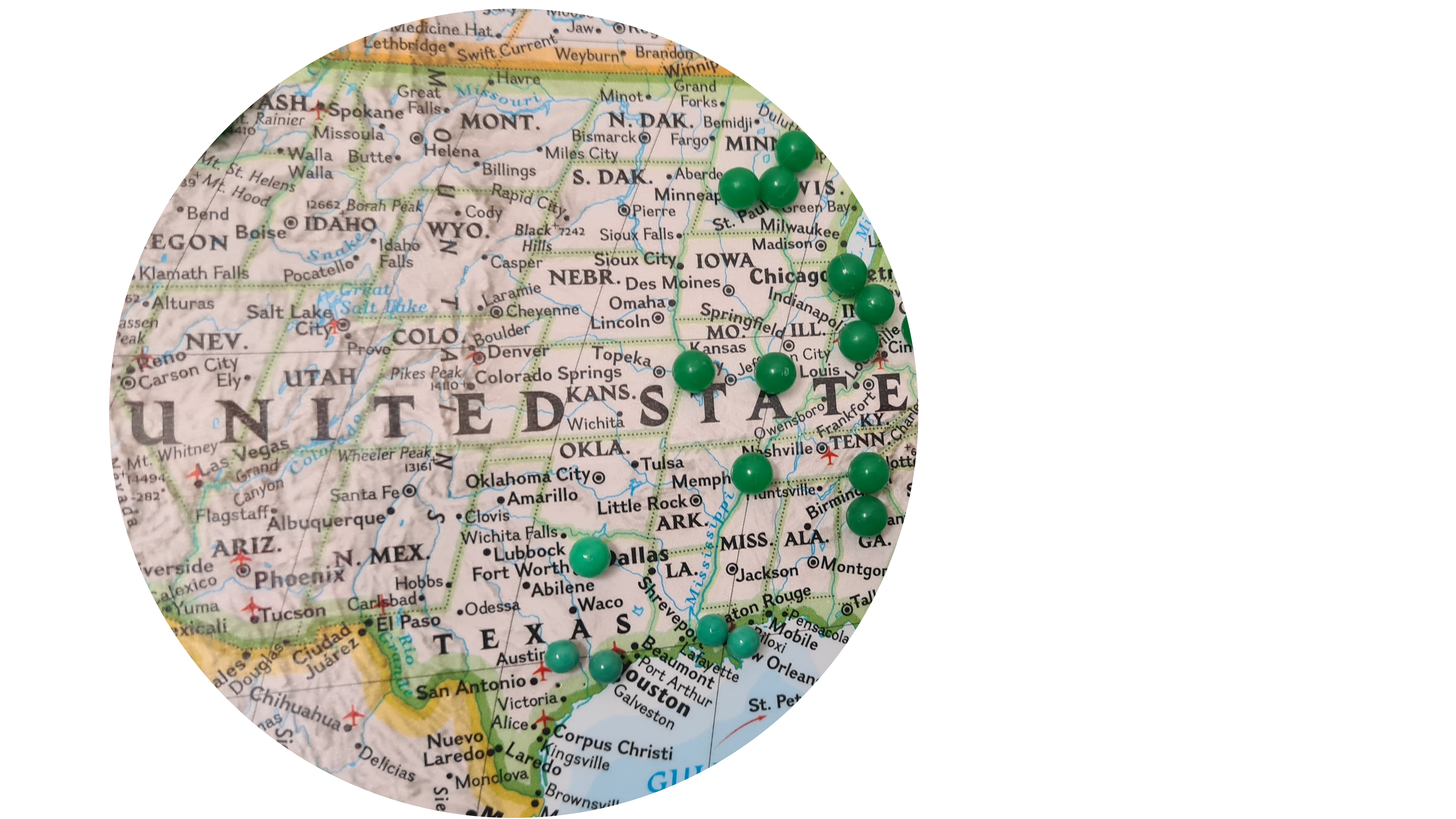 nico-smit-Q1tAFjL34C4-unsplash